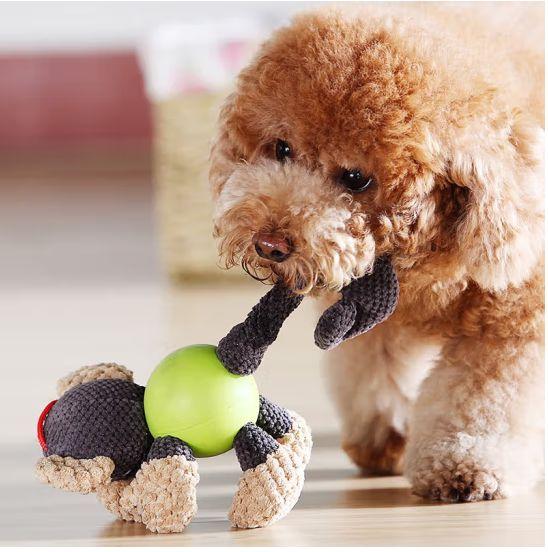 มาค้นพบความมหัศจรรย์ของของเล่นสัตว์เลี้ยงกันเถอะ